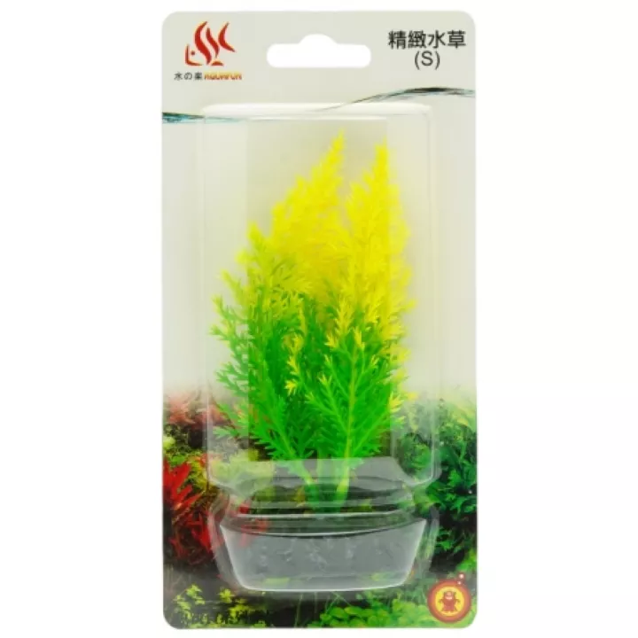 精緻水草 S